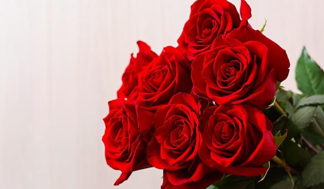 types of roses for valentines day