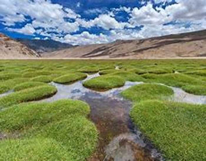 Image result for Puga Valley, Ladakh unsplash