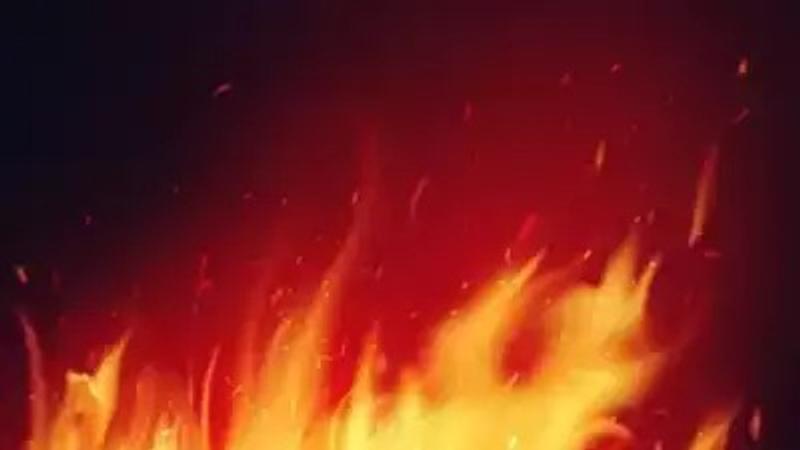 BREAKING: Fire Breaks Out at Factory in Delhi's Bawana