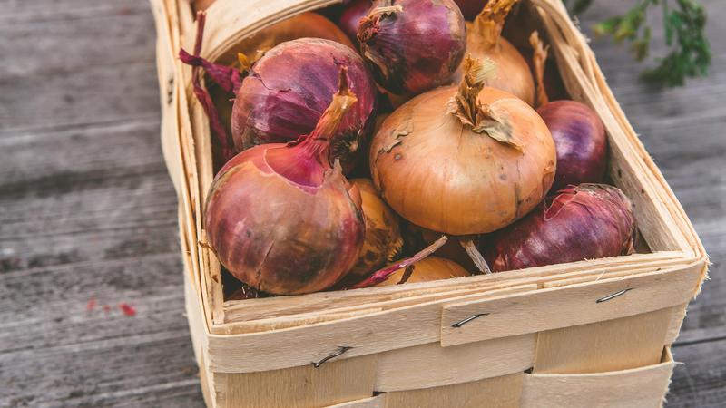 Earlier in the day, the government removed the minimum export price of USD 550 per tonne on onion to boost outbound shipment and enhance farmers' incomes.