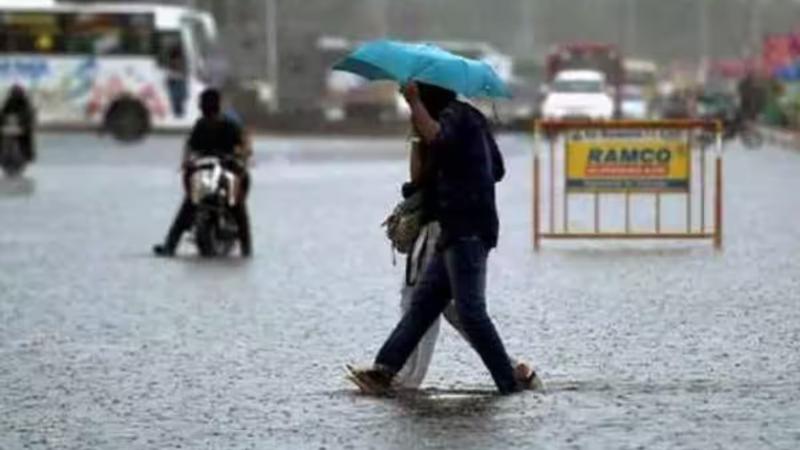 Rain lashes Jaipur, disrupts normal life