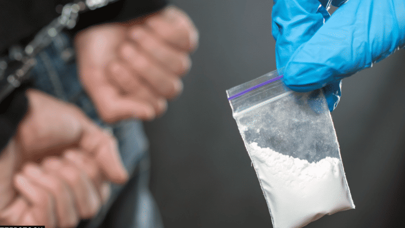 Kingpin of Drug Smuggling Racket Arrested in Haryana's Nuh