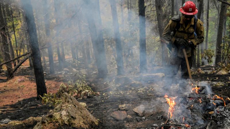 A hotshot works to burnout a bone pile while battling the First Thunder Fire