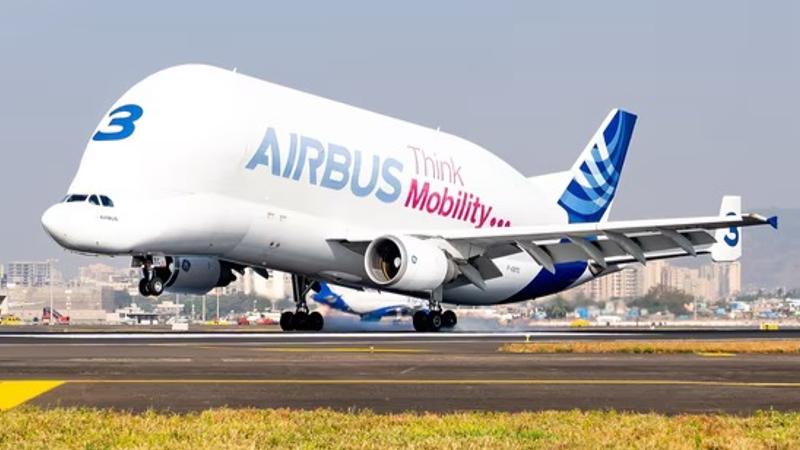 Airbus Beluga, Whale of Sky 