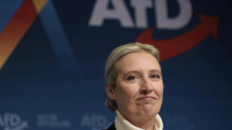 Alice Weidel, AfD's candidate