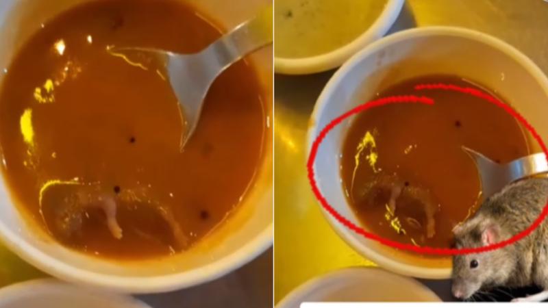 Dead rat found in sambhar at Ahmadabad restaurant, viral video 