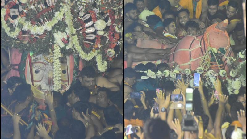 Nine Injured as Lord Balabhadra's Idol Falls During Puri's Rath Yatra