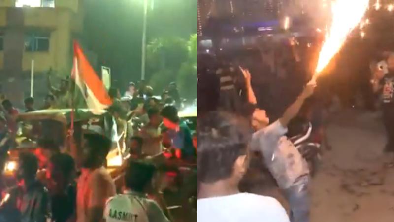 Indian cricket fans after T20 world cup victory, watch viral videos