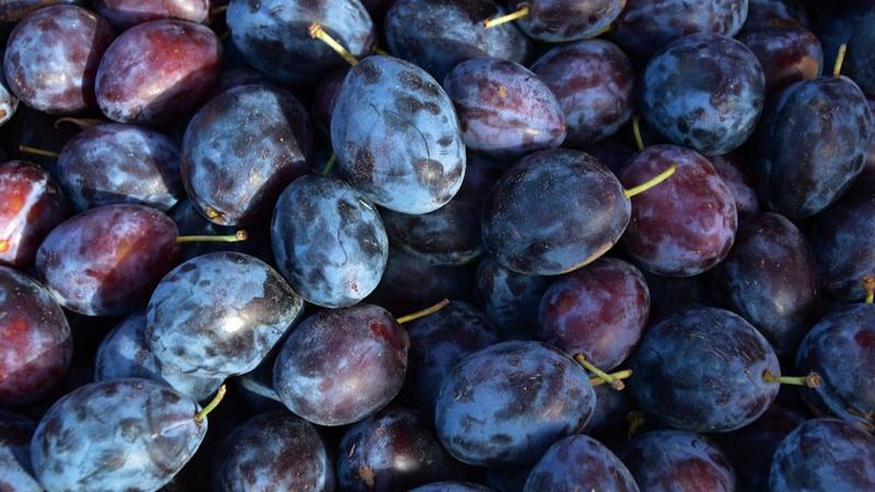 Benefits of consuming prunes 