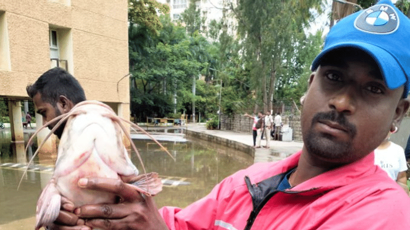 Bengaluru Residents Go Fishing in Flooded Apartment Basement Amid Heavy Rains