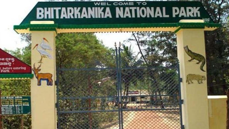 Bhitarkanika National Park Reopens After Three Month Long Break