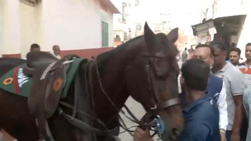 bjp mp naveen jindal reaches polling station in kurukshetra on a horse