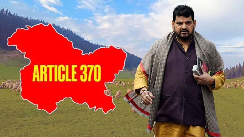 Brij Bhushan Sharan Singh On Article 370