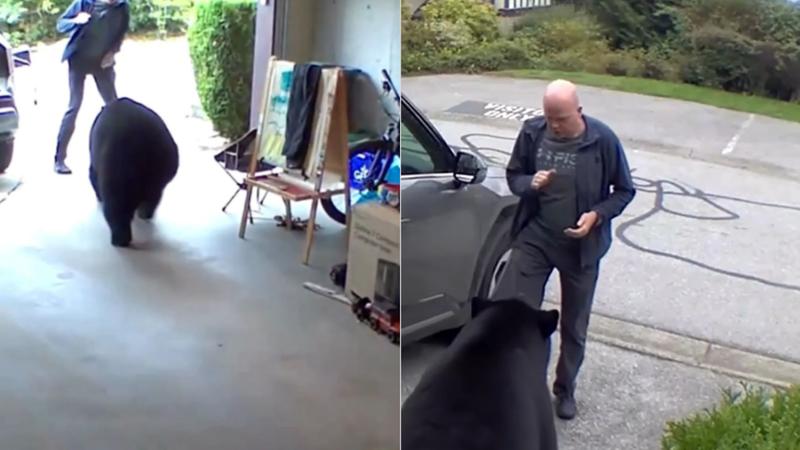 Canada Man encounters Bear in Garage