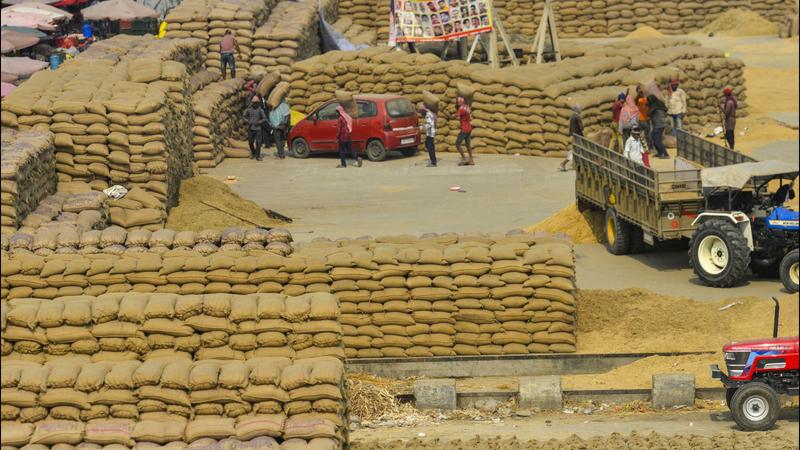 Centre procures 60.63 lakh tonnes of paddy so far in Punjab; Rs 12200cr paid to farmers till Oct 28