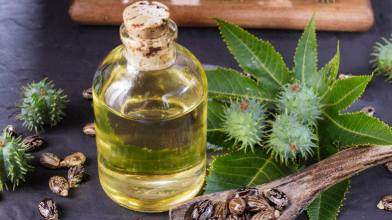 Benefits of castor oil for eyes