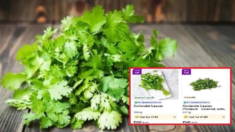 coriander price on zepto