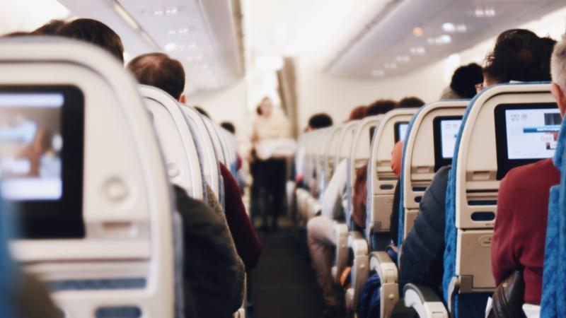 couple fight in flight