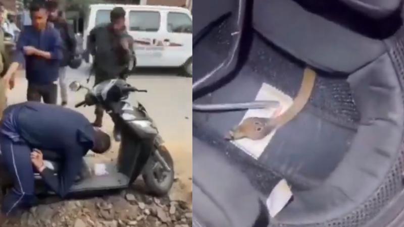 Dangerous cobra entered helmet,  VIDEO VIRAL