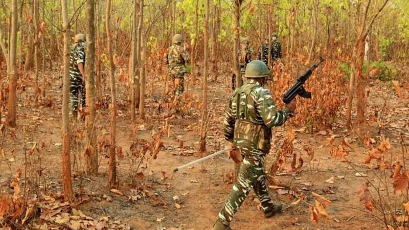 Naxal couple with cumulative bounty of Rs 8 lakh lays down arms in Gadchiroli