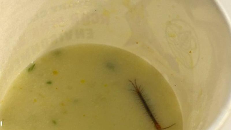 Delhi Man Finds Centipede  in Raita at VIP Railways Lounge, IRCTC responds