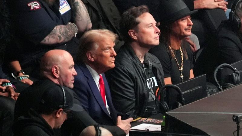 Donald Trump and Elon Musk at a MMA match.