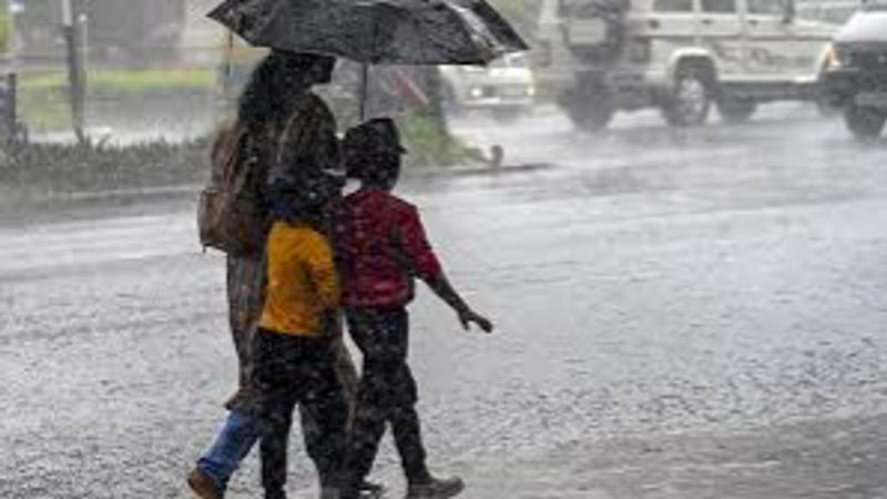 IMD issues 'red' alert in Goa amid heavy rains