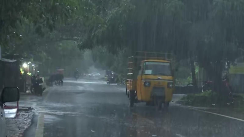 Heavy Rain Lashes Odisha, Over 7,000 Affected in Malkangiri District