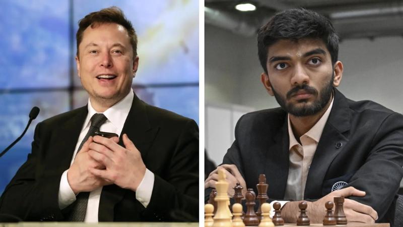 Elon Musk congratulates D Gukesh 