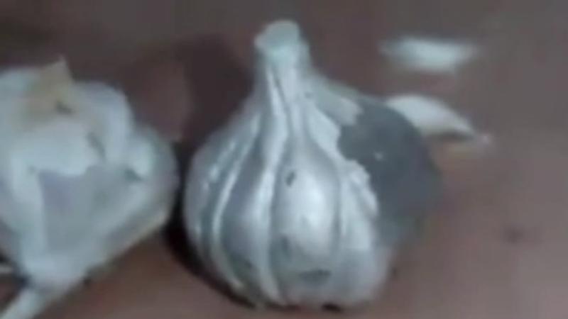 Ex-Cop Falls for Cement Garlic Scam in Akola: Video Goes Viral