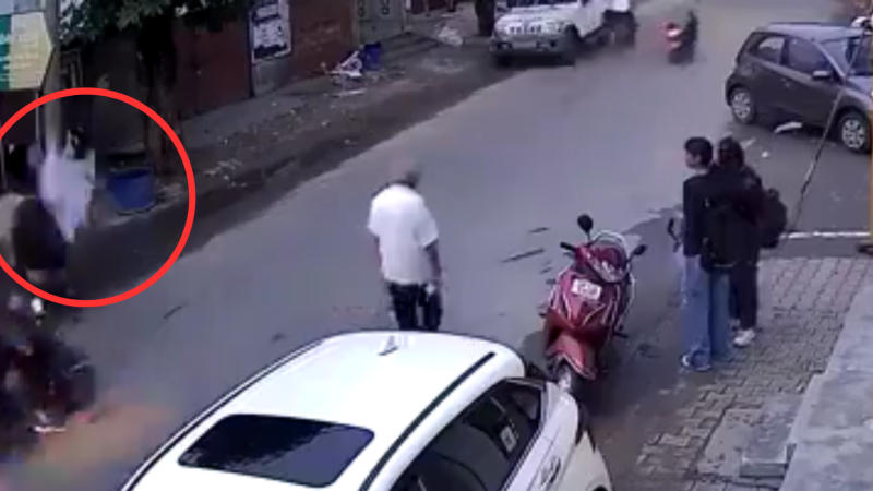 85-Year-Old Man Hit by Stray Ox in Meerut, Hospitalised | Disturbing Video Surfaces