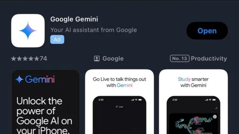 Google Gemini