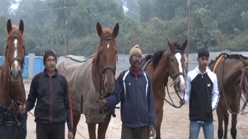 High-Tech American Warmblood Horses Deployed to Boost Security at Mahakumbh Mela