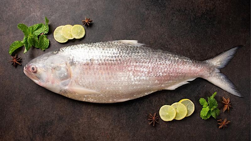 Bangladesh Bans Padma Hilsa Export To India, Prices Likely To Cross Rs 2,000 