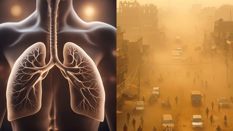 How to protect lungs from pollution