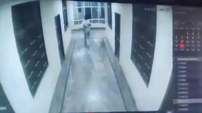 Hyderabad Man Chasing Dog Falls Off 3rd Floor of Hotel, Dies | Disturbing Video Emerges