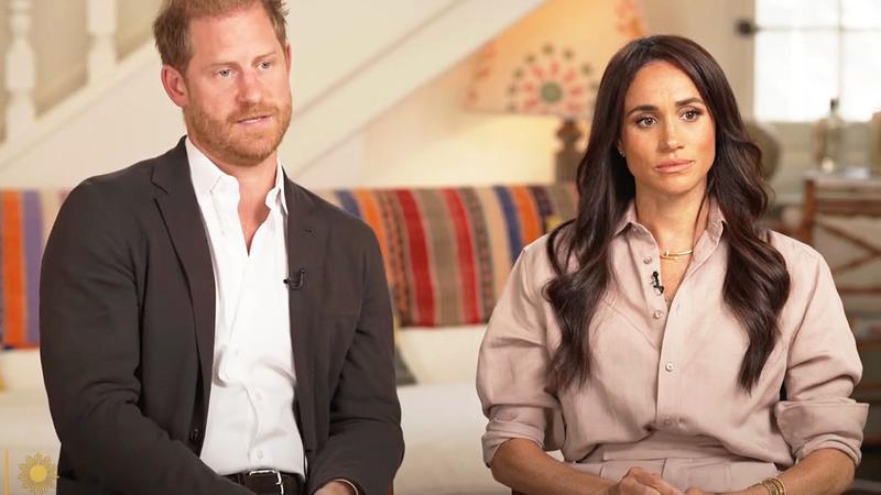 Markle issues statement amid 'professional separation' with Prince Harry