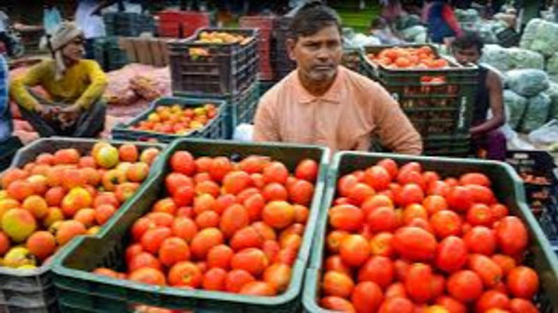 Tomato price in New Delhi has surged to Rs 75 per kg, but is likely to ease if heavy rainfall does not further disrupt supply chains