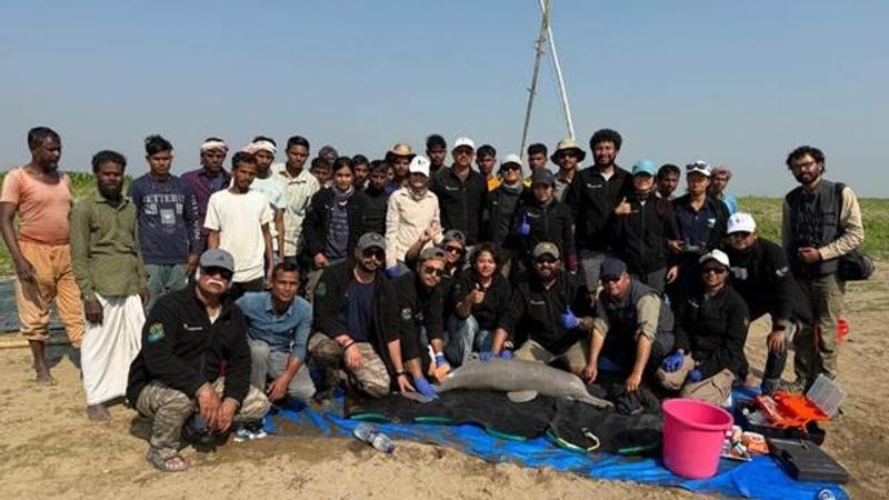 India Conducts First-ever Ganges River Dolphin Tagging In Assam