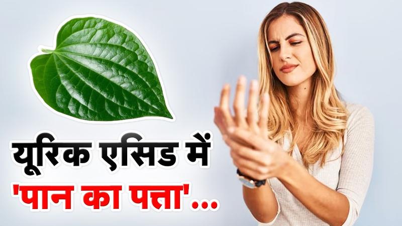 is paan good for uric acid