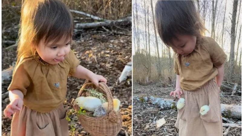 little girl playing with chicks