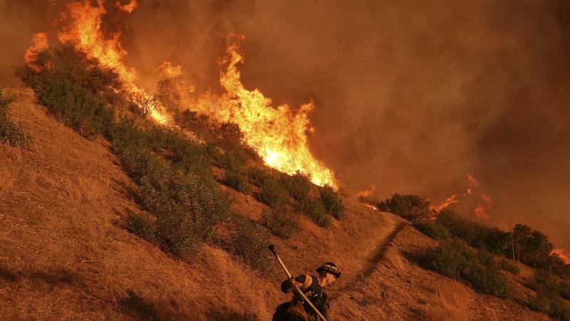 Los Angeles Fire