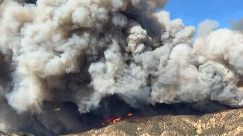 Los Angeles wildfires