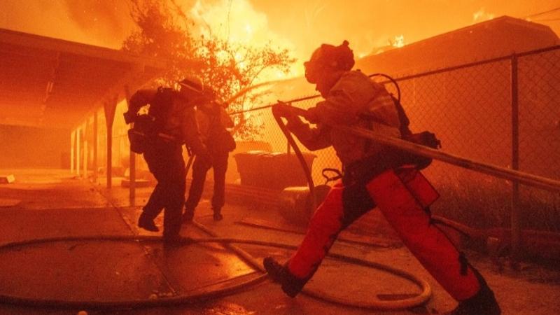 Los Angeles Wildfires: Hollywood Hills on Fire, Thousands Evacuated 