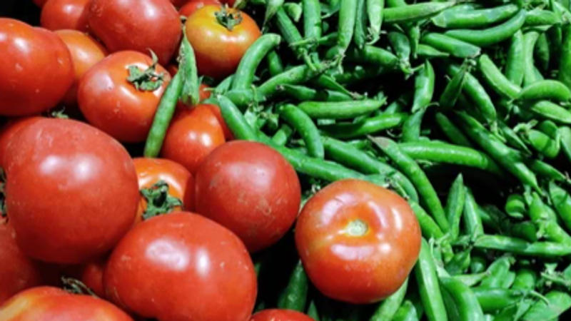 NCCF Launches Tomato Sale at Rs 65/kg in Delhi-NCR to Combat High Prices