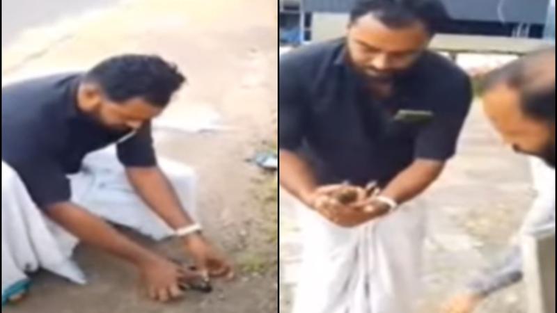 Man Performs CPR on Unconscious Myna, Revives Bird in Viral Video