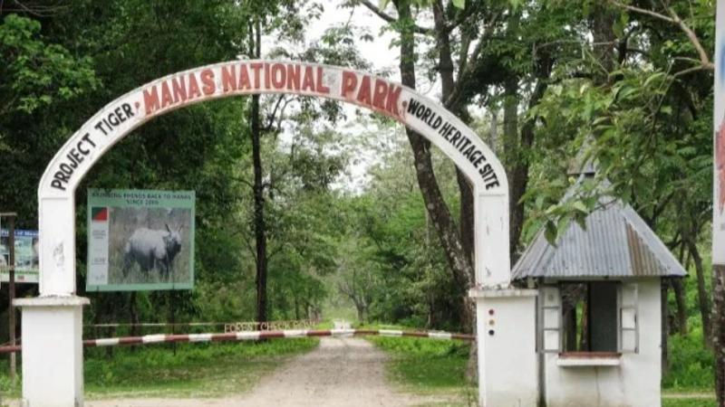  Manas National Park to reopen on Sept 27