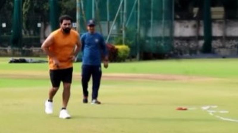 mohammad shami start practice for comeback on cricket ground