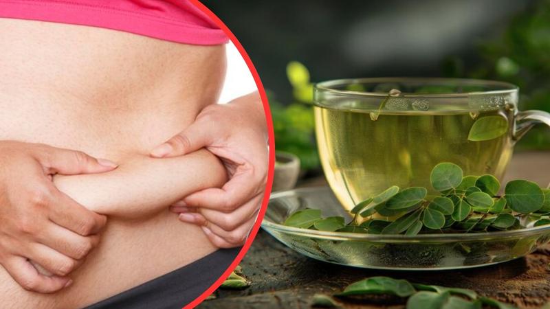 Moringa Tea For Belly Fat