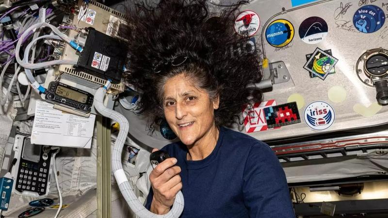 Nasa Astronaut Sunita Williams Picture from Space